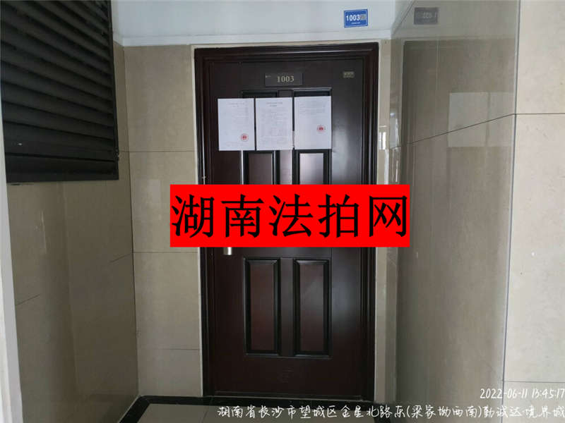 勤誠(chéng)達(dá)境界城（勤誠(chéng)達(dá)新界）法拍房C地塊3#棟1003室