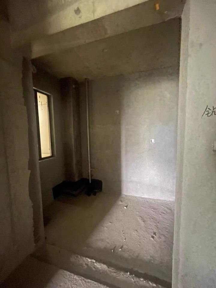1723792499148146.jpg